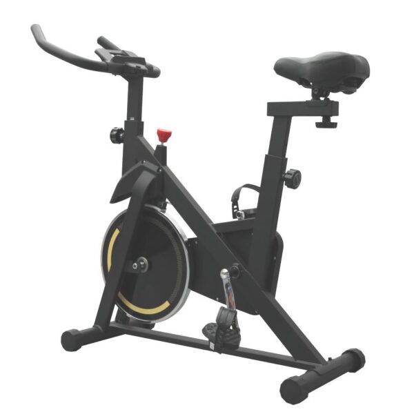 Compact Spin Bike